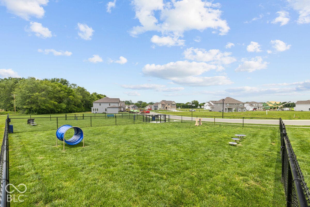Dog Park