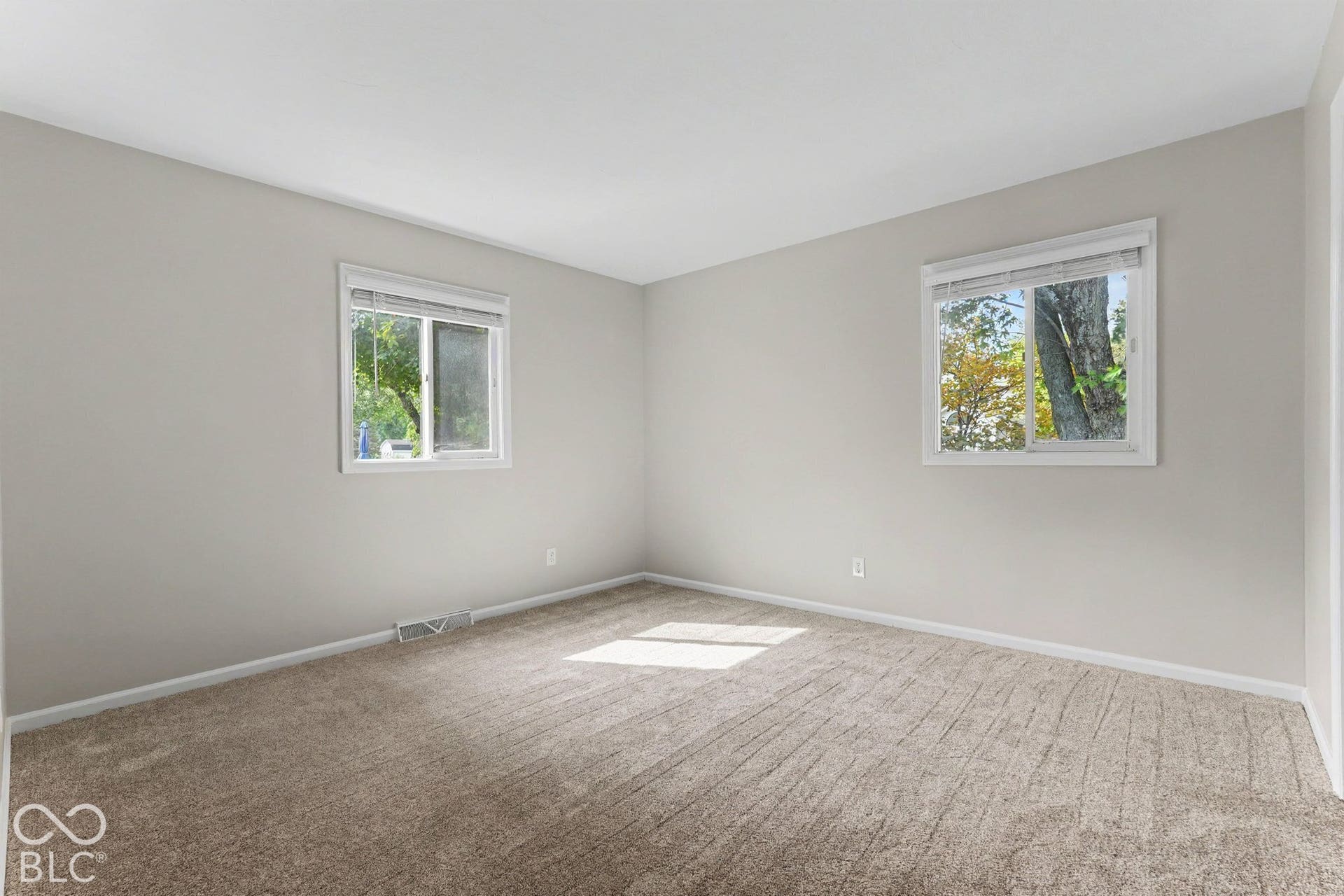 Neutral tone wall paint, two windows with blinds, and light-colored carpet flooring