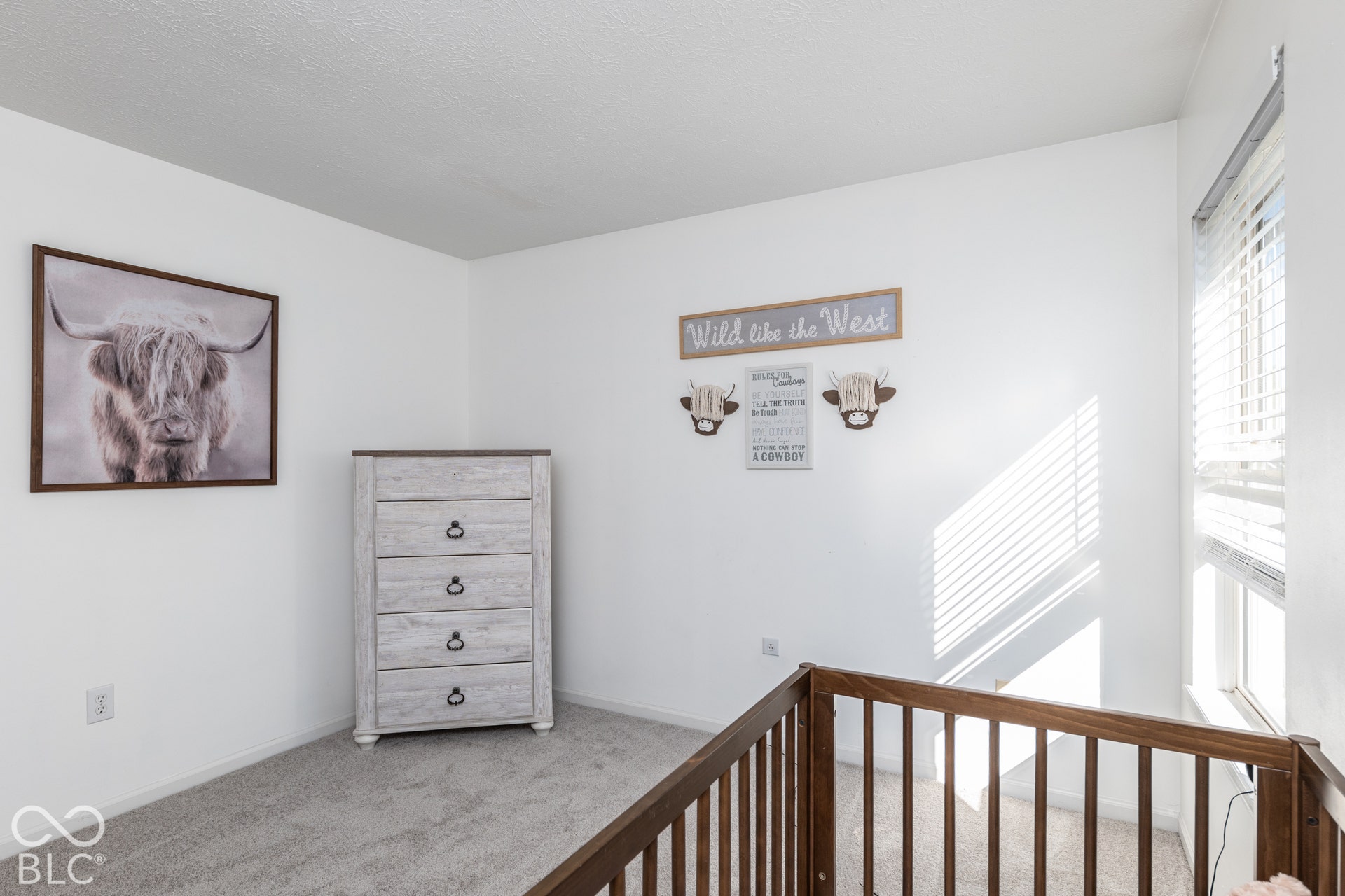 1417 Royal Lake Drive, Indianapolis, IN 46228