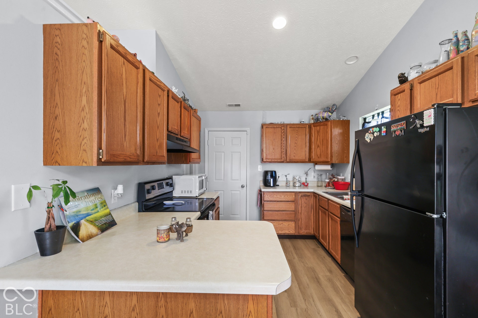 Vaulted ceiling, wood-finish cabinetry, built-in range, built-in microwave, wood-finish flooring