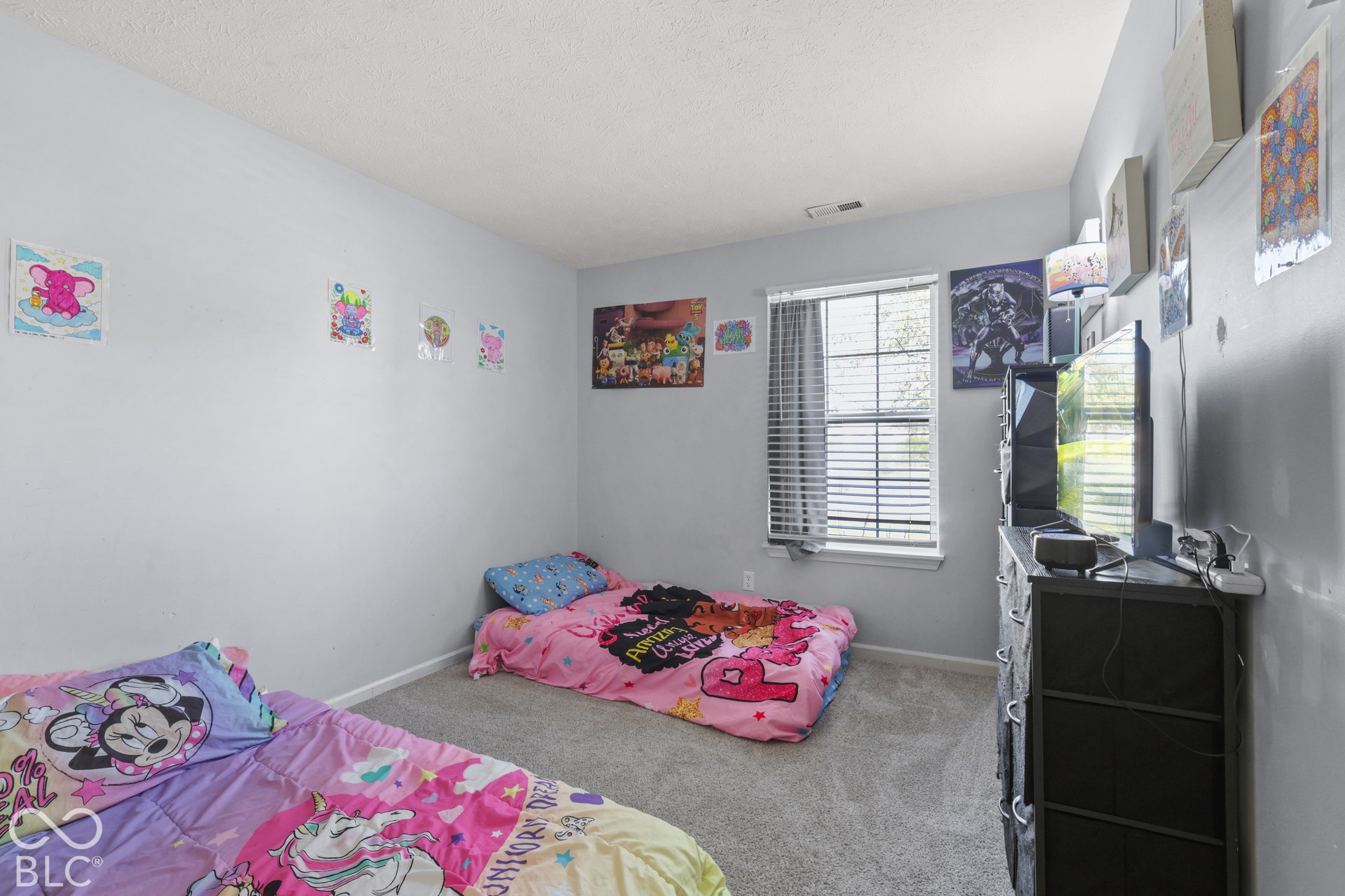 Carpeted flooring, single window with blinds, and light-colored walls