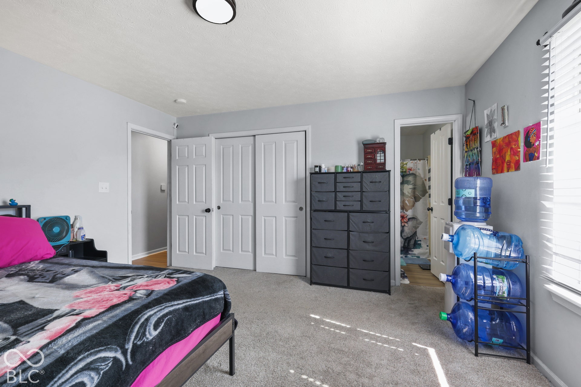 Carpeted flooring, light gray walls, white trim, and white paneled doors