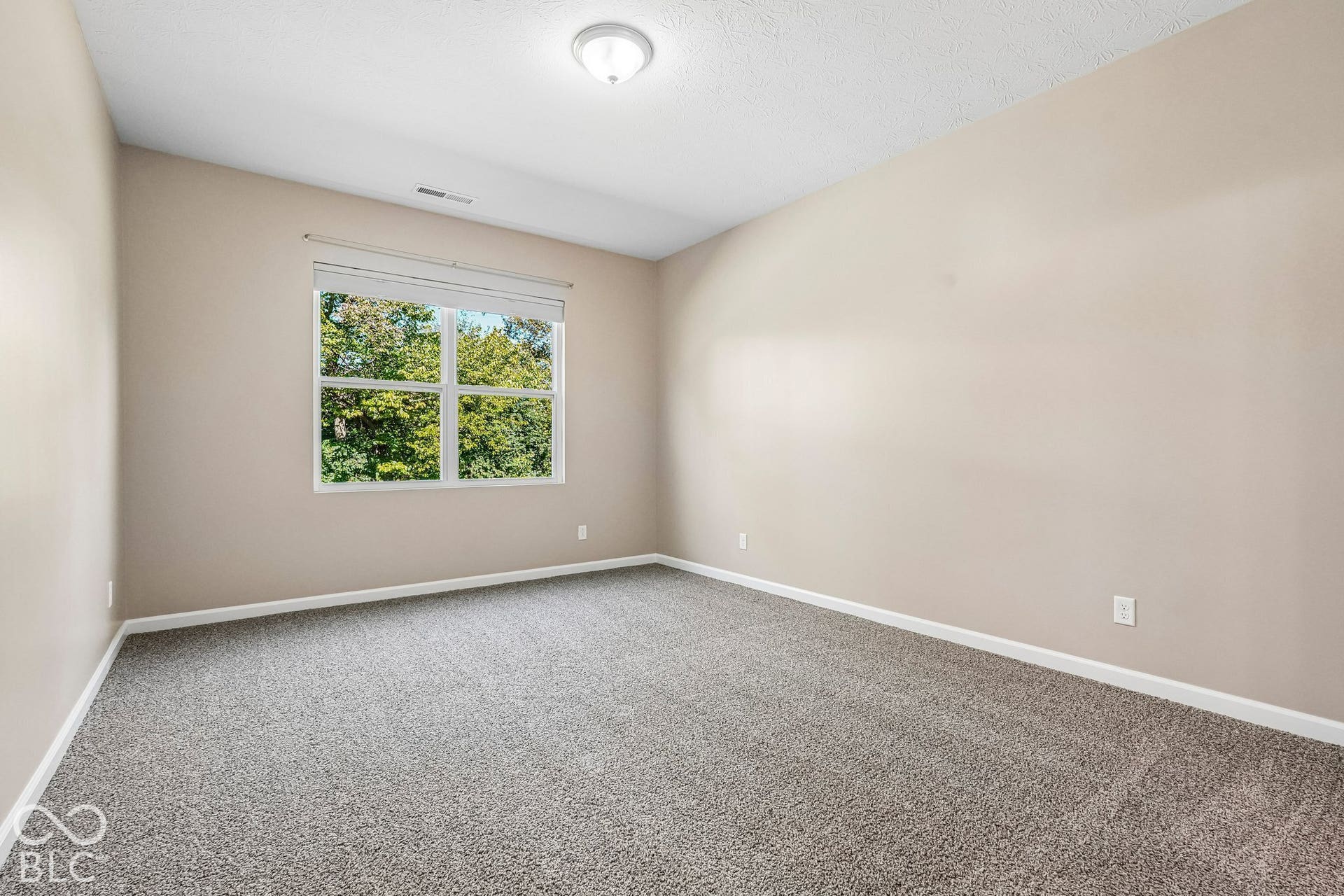 Neutral wall paint, gray carpet flooring, and a window with a white frame