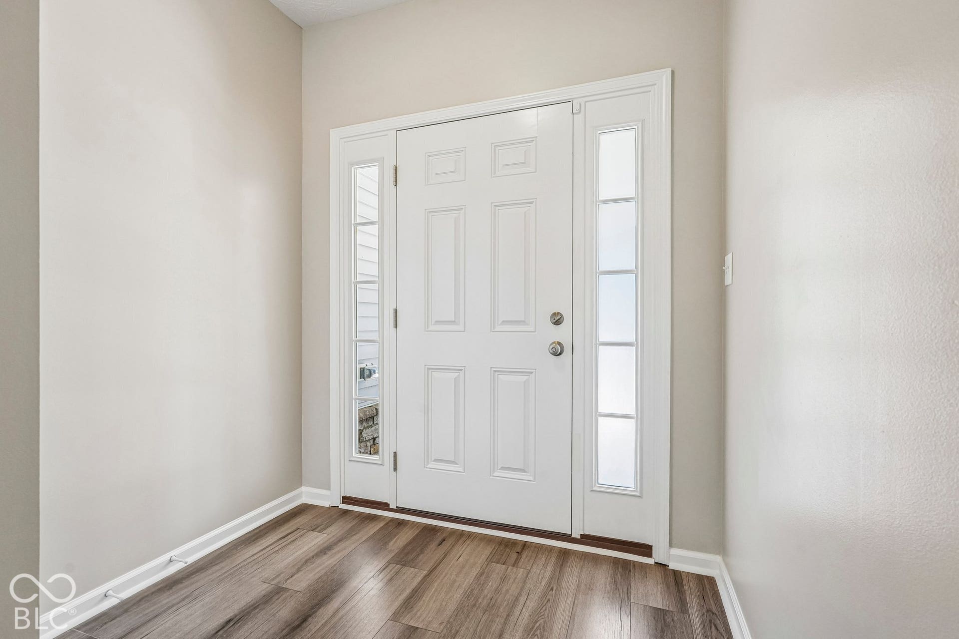 White paneled door with two sidelights, wood-finish flooring, and light-toned walls