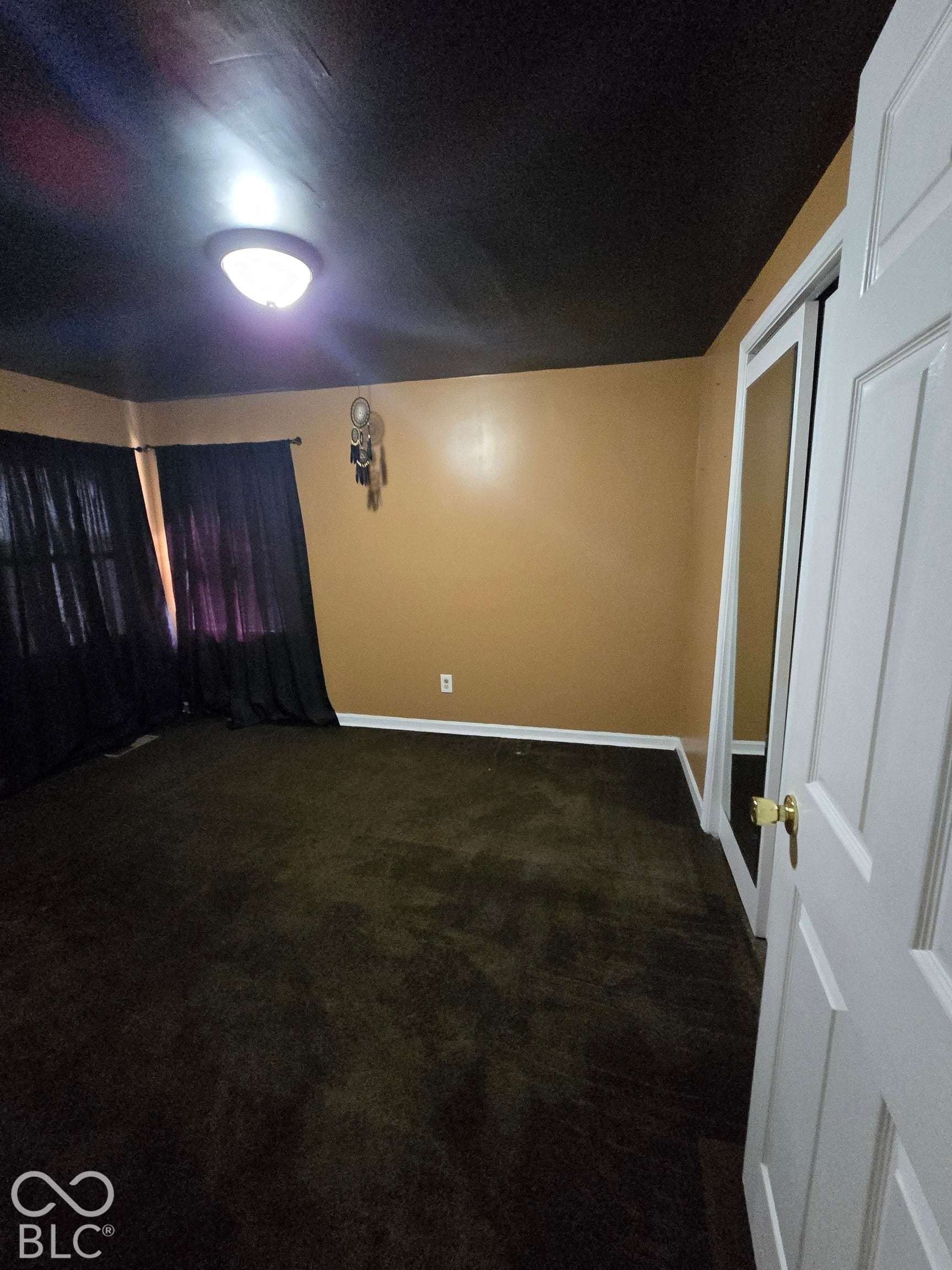 Wall-to-wall carpeting, flush-mount ceiling light fixture, and a sliding mirror closet door