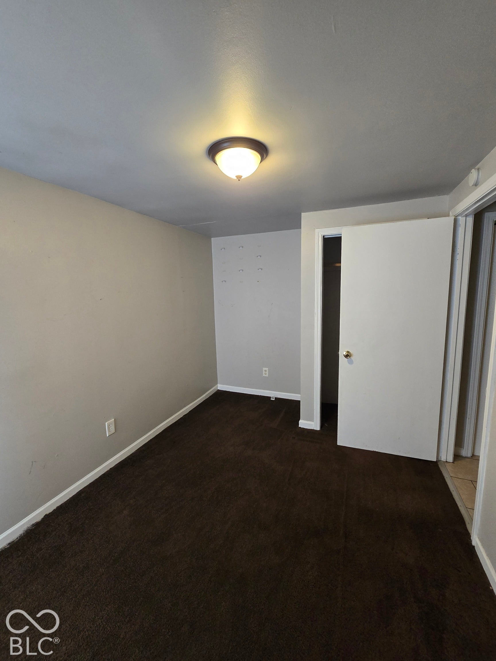 Wall-to-wall carpeting in a rich brown hue, a neutral wall color, and a ceiling-mounted light fixture