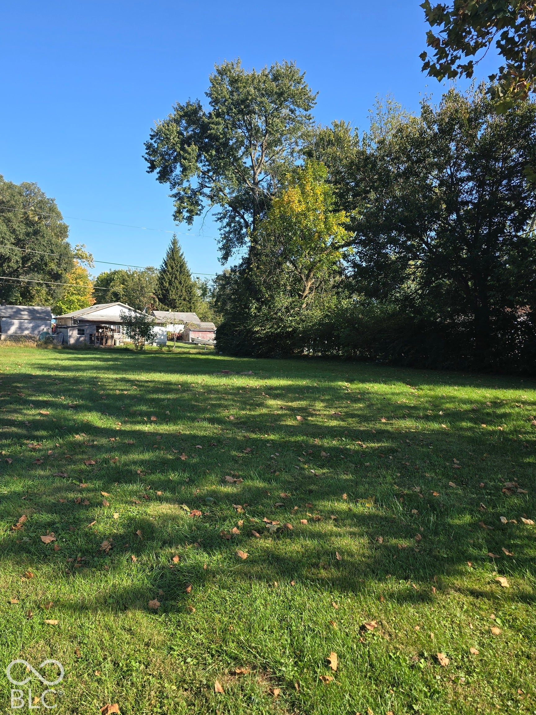 Expansive grassy yard with mature trees