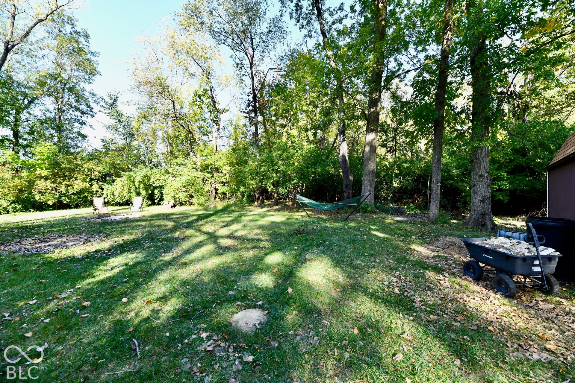 Expansive backyard featuring mature trees, a green lawn, and a brown storage shed