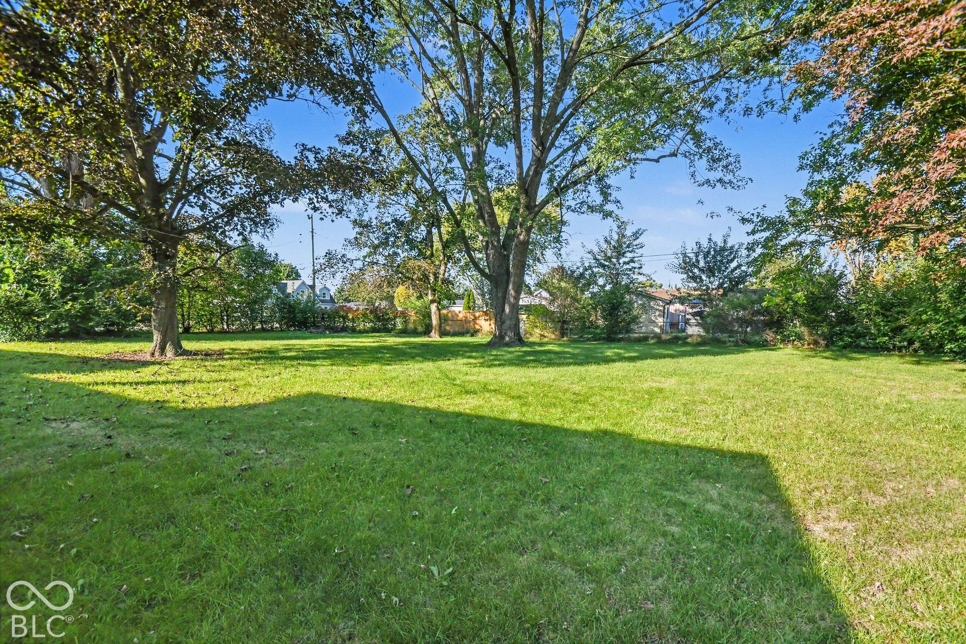 BACK YARD
