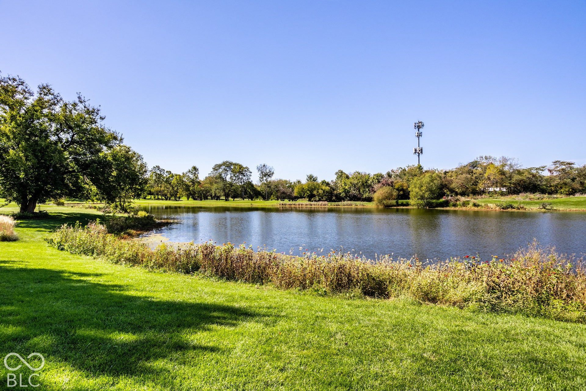 Expansive green lawn with mature trees and a tranquil body of water