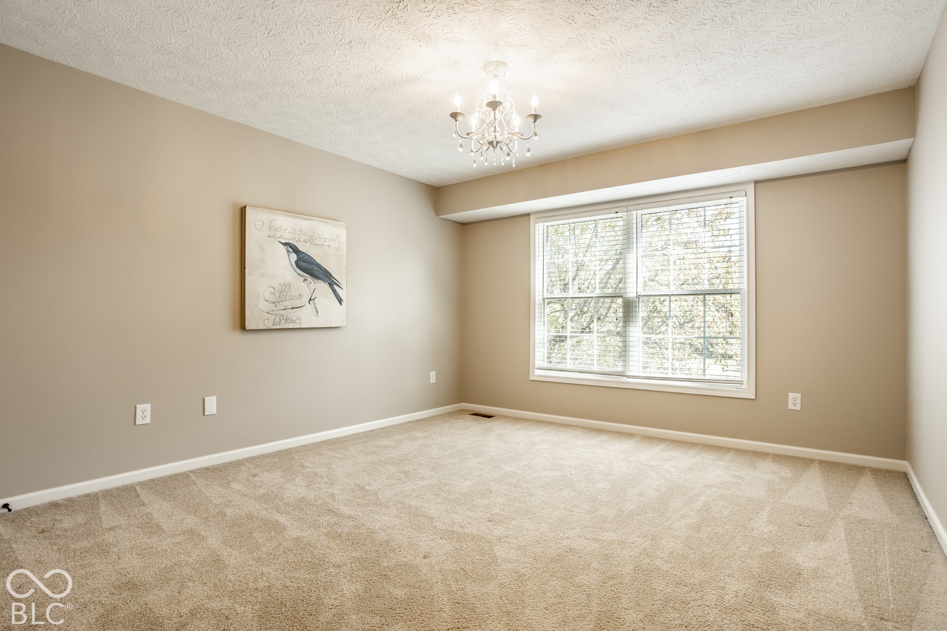 Light-colored wall-to-wall carpeting, neutral wall tones, white trim, a large window with white blinds, and a multi-arm chandelier