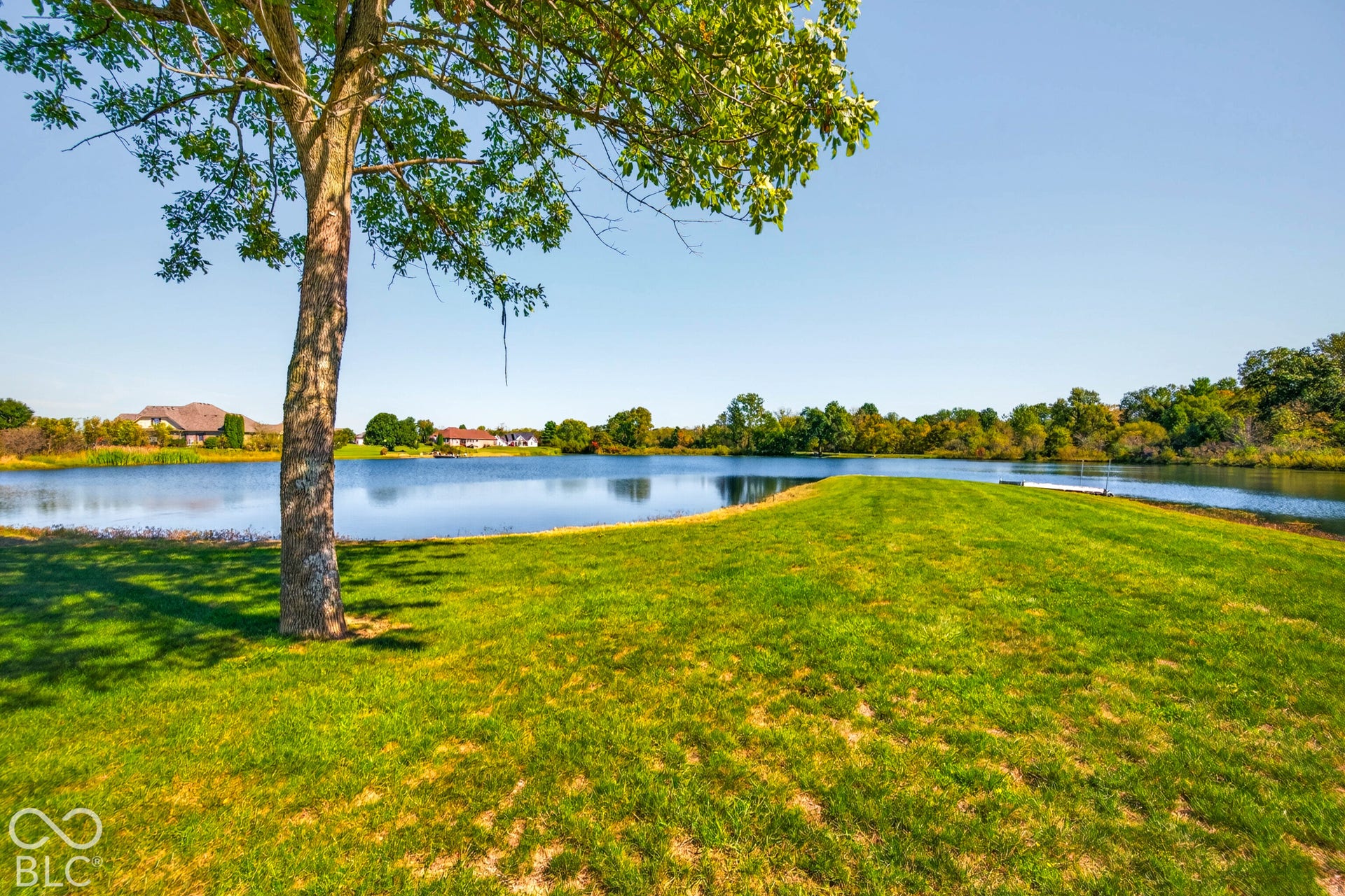 Expansive green lawn with a mature tree, bordered by a calm body of water