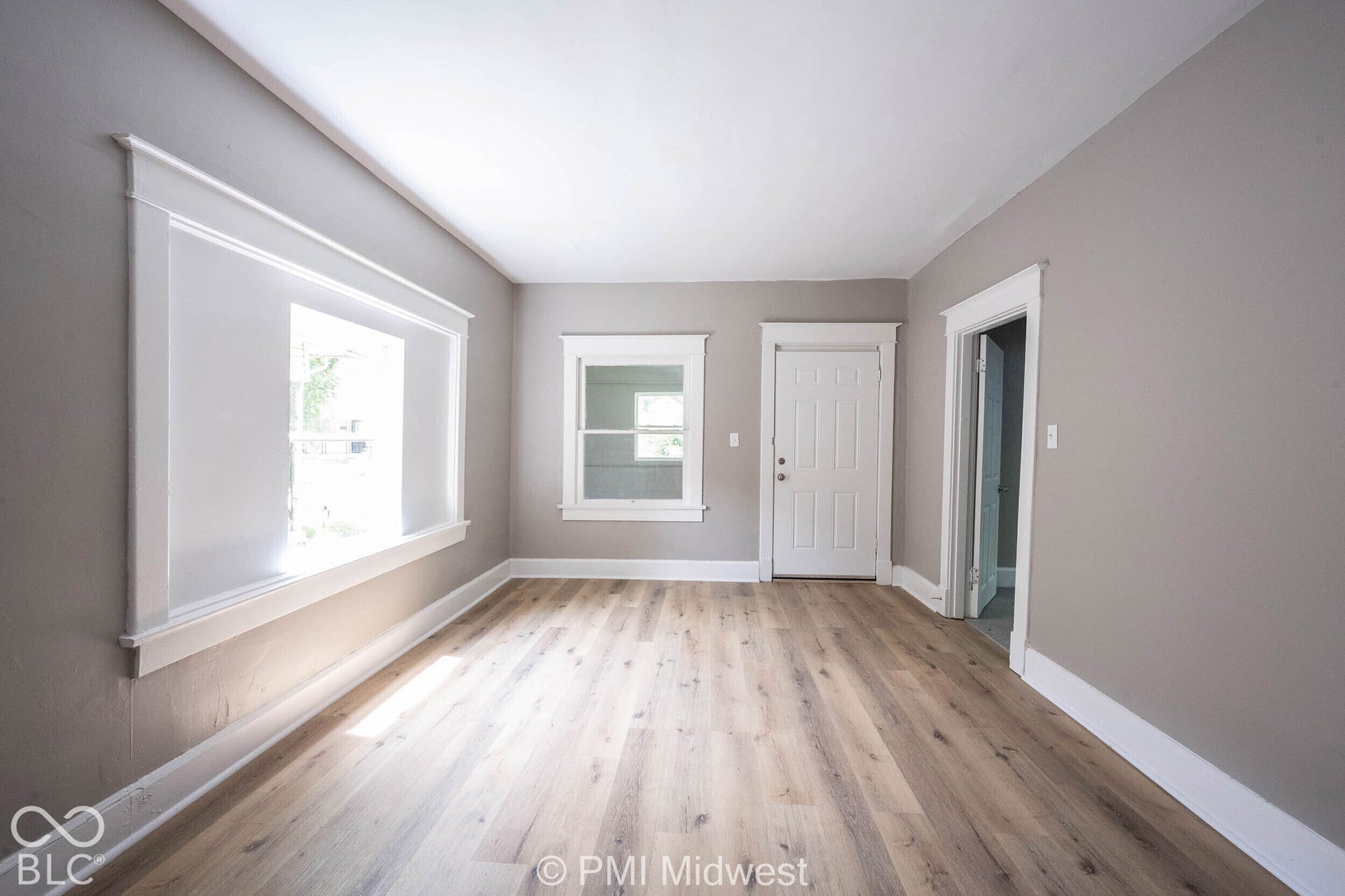 Neutral gray wall paint, wood-finish flooring, white window trim, and a paneled entry door