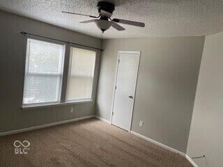 Textured ceiling with a ceiling fan light fixture, dual windows, and wall-to-wall carpeting