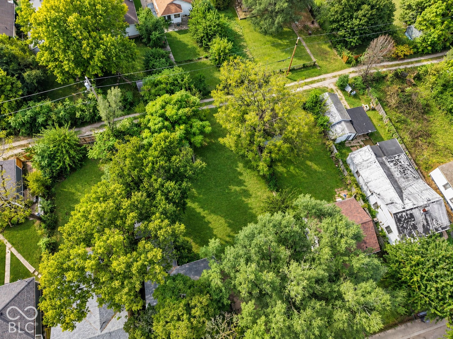 Expansive green space with mature trees