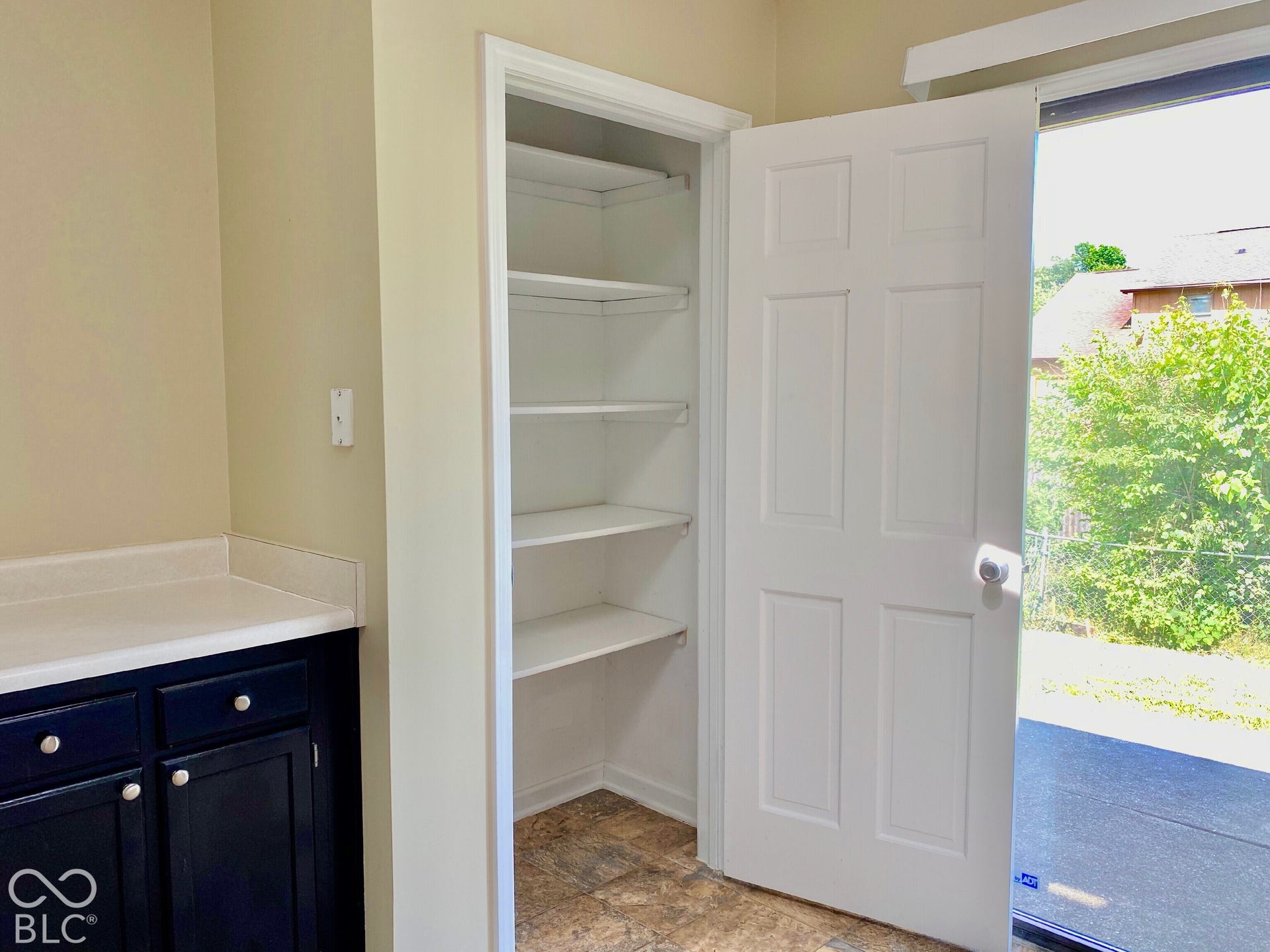 3911 Bonn Drive, Indianapolis, IN 46228 Built-in cabinetry with white countertop, full-height pantry with shelving, and exterior access door