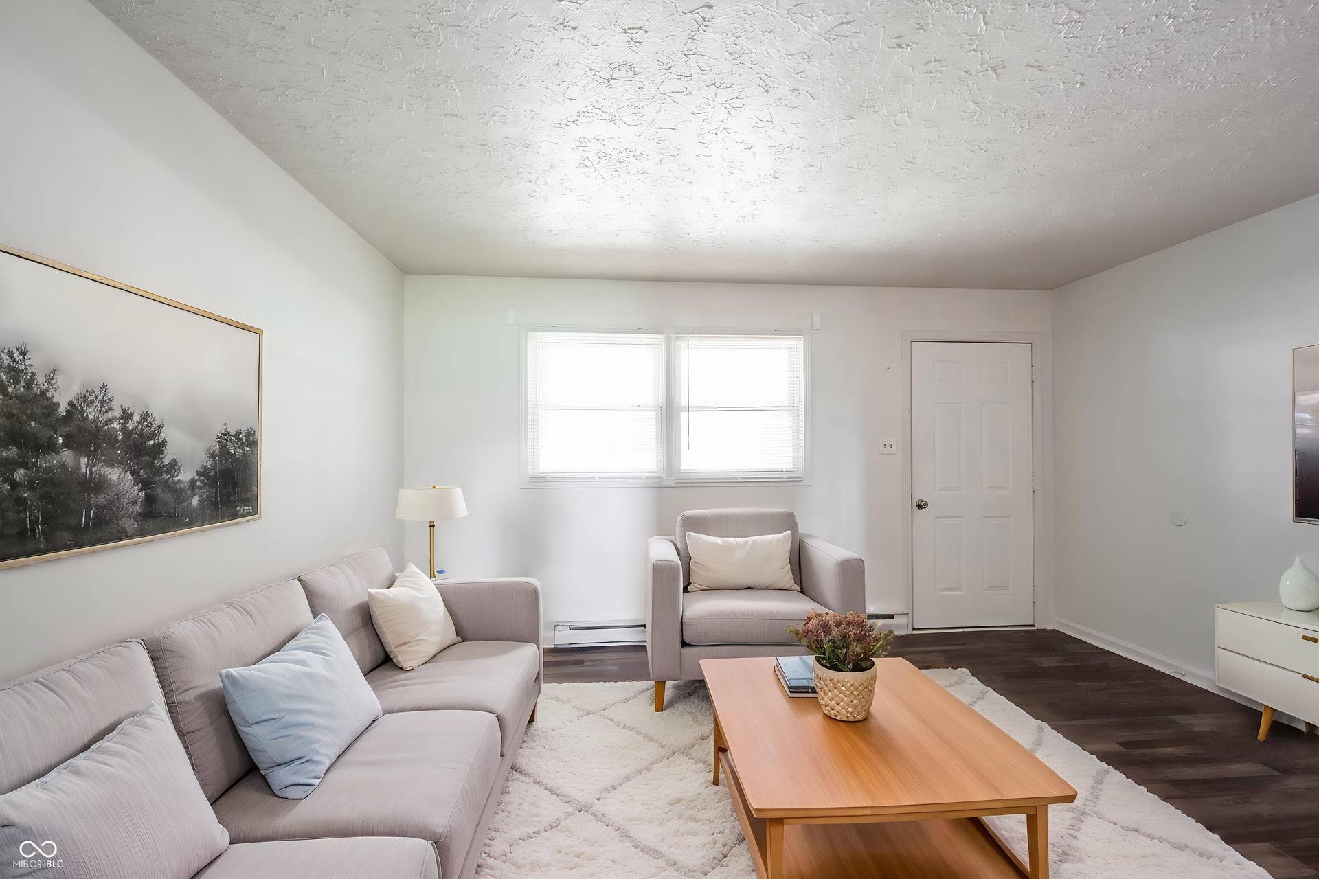 Virtually Altered - Bright living space with wood-finish flooring and white walls