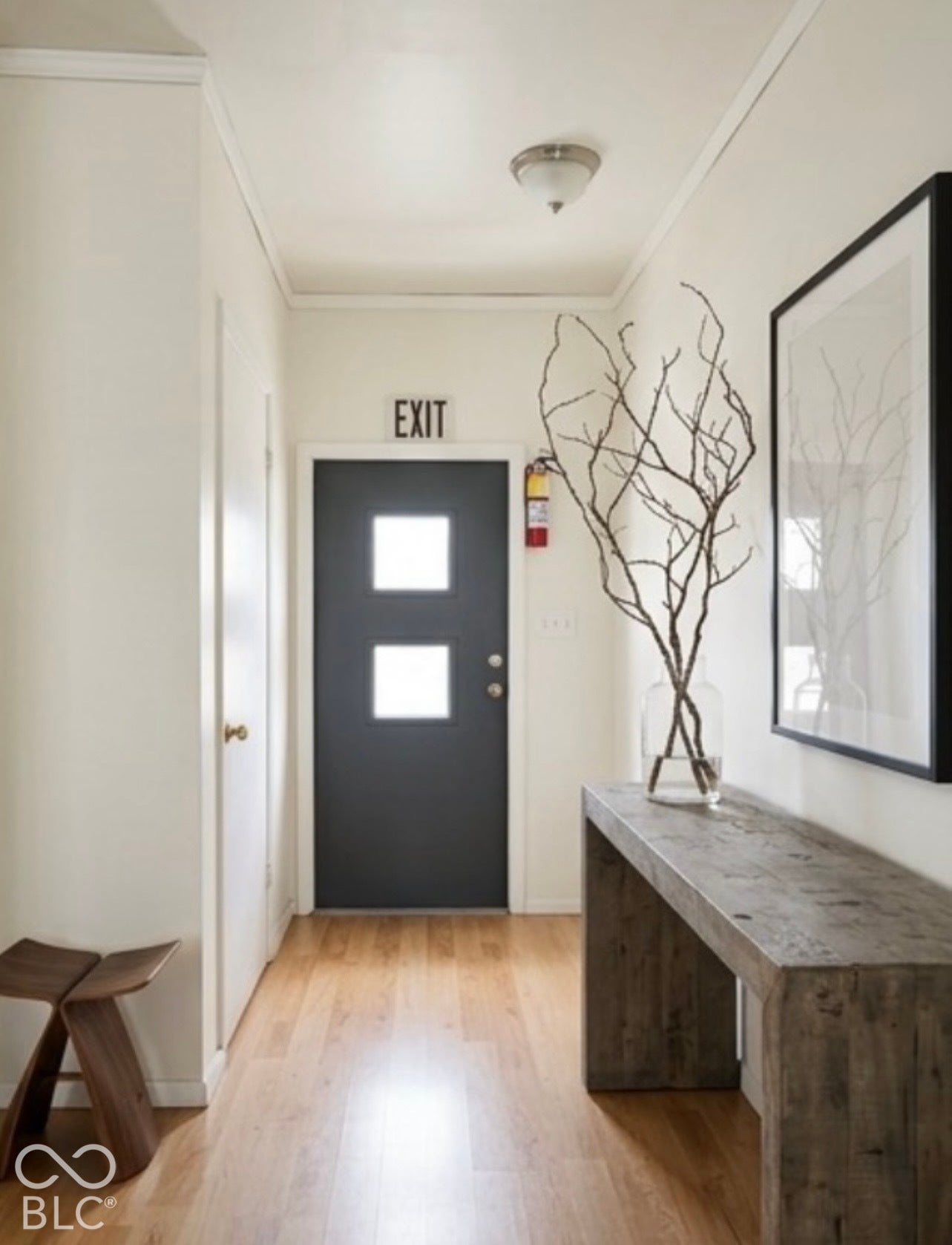 Virtually Altered - Entrance areas with white walls and residential decor