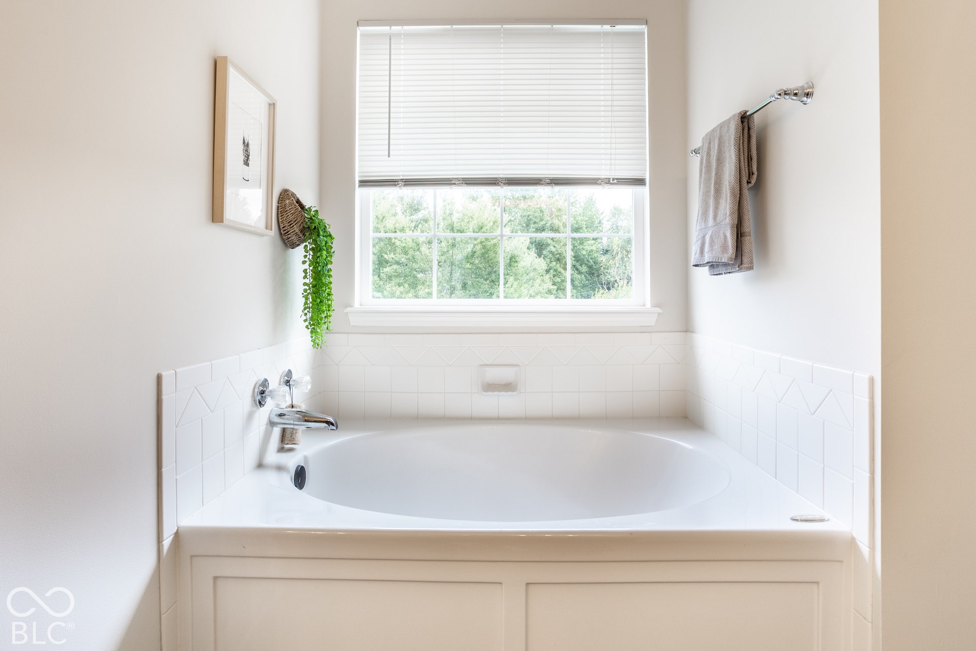 Owner's Tub w/ Separate Shower
