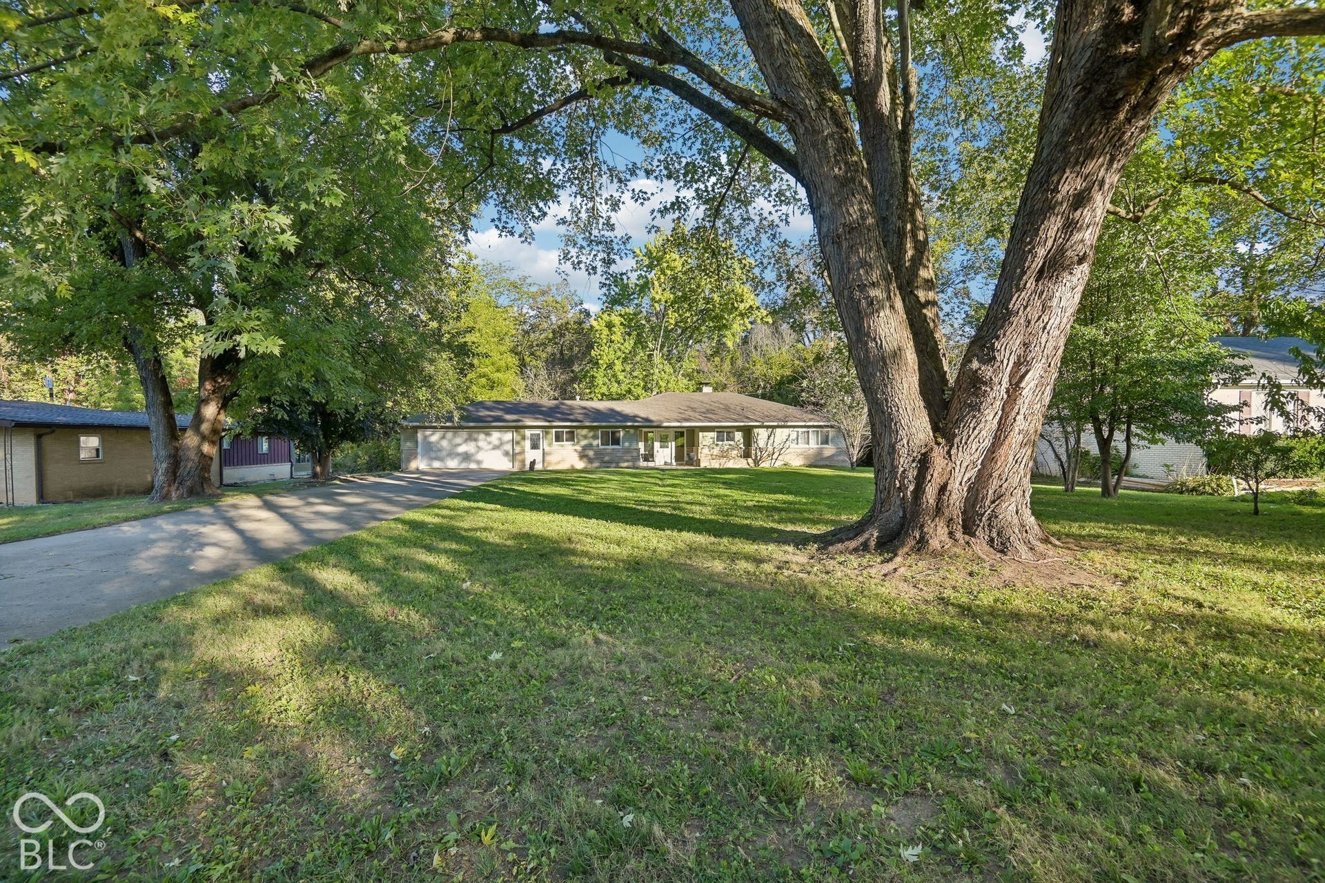 Expansive grass lawn with mature trees and a paved driveway leading to a single-story residence