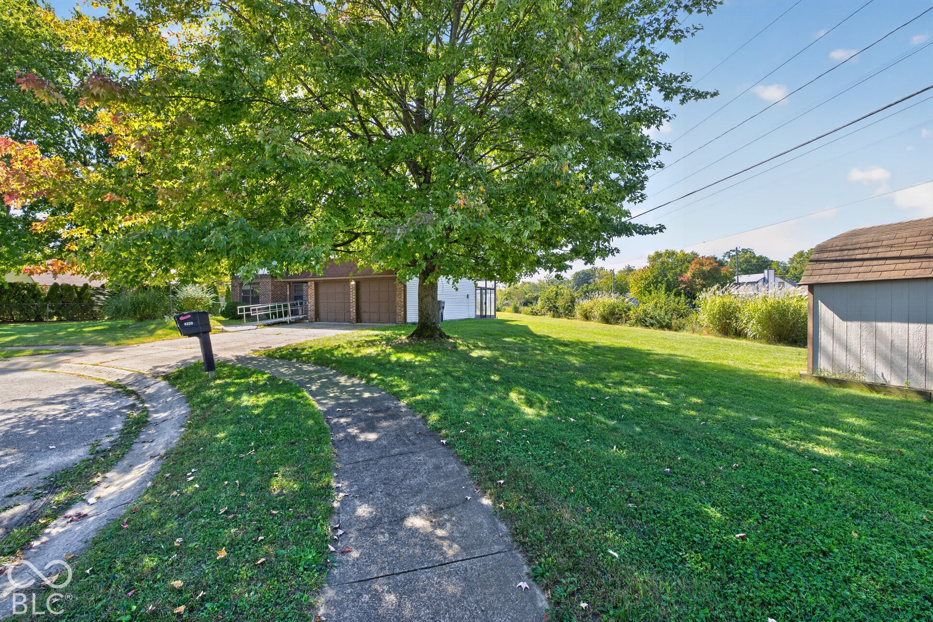 Expansive lawn with mature trees, concrete driveway, and a detached storage shed