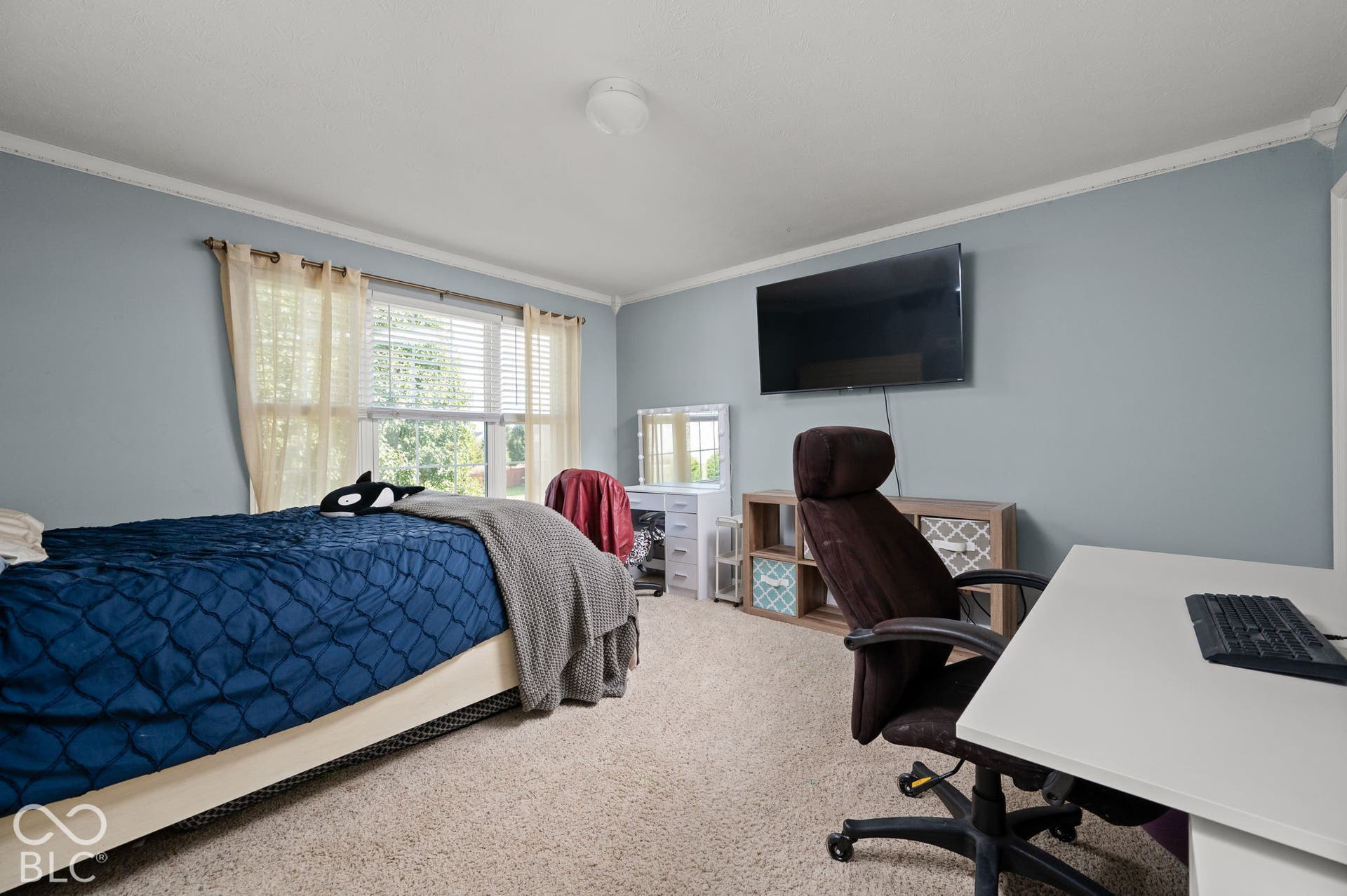 Carpeted flooring, crown molding, and a single window with blinds and drapes