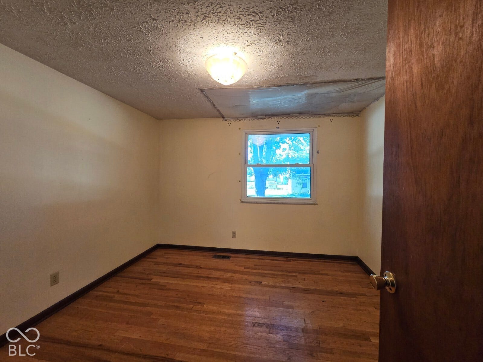 Hardwood flooring, painted walls, window with exterior scenery, flush-mount ceiling light fixture, wood door
