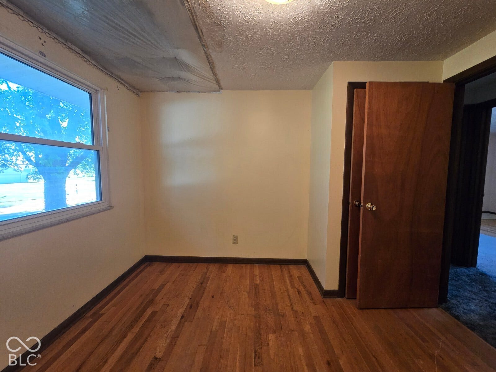 Wood-finish flooring, white-framed window, neutral painted walls, and a wood-panel door