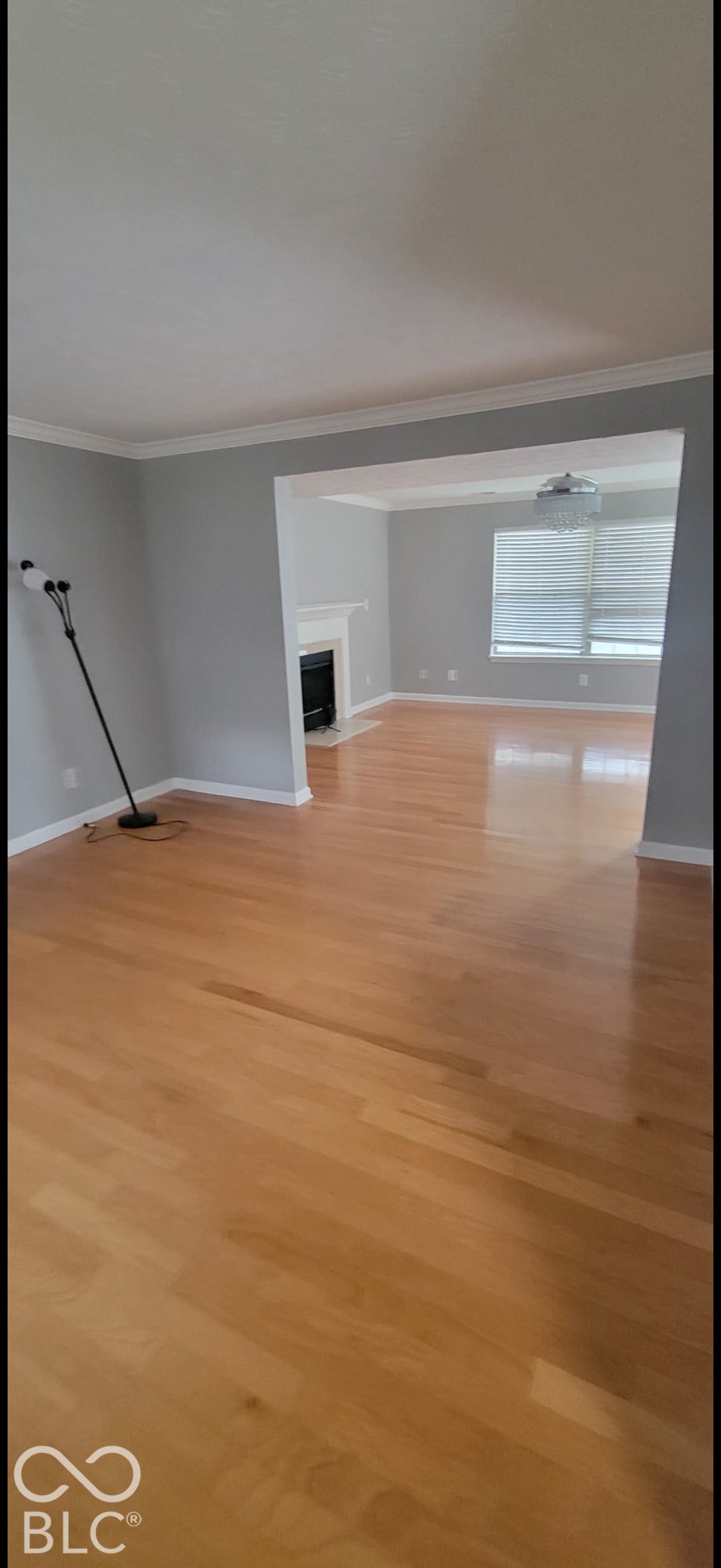 702 Coffee Tree, Indianapolis, IN 46224 Wood-finish flooring throughout, light gray wall paint, white crown molding, and a fireplace with a white mantel and black firebox