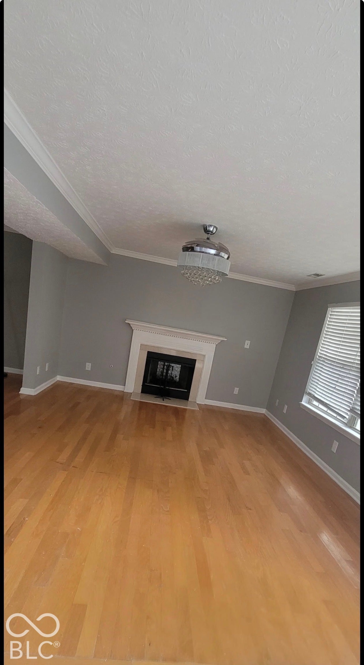 702 Coffee Tree, Indianapolis, IN 46224 Wood-finish flooring, fireplace with a white mantel, window with horizontal blinds, decorative ceiling light fixture, and crown molding