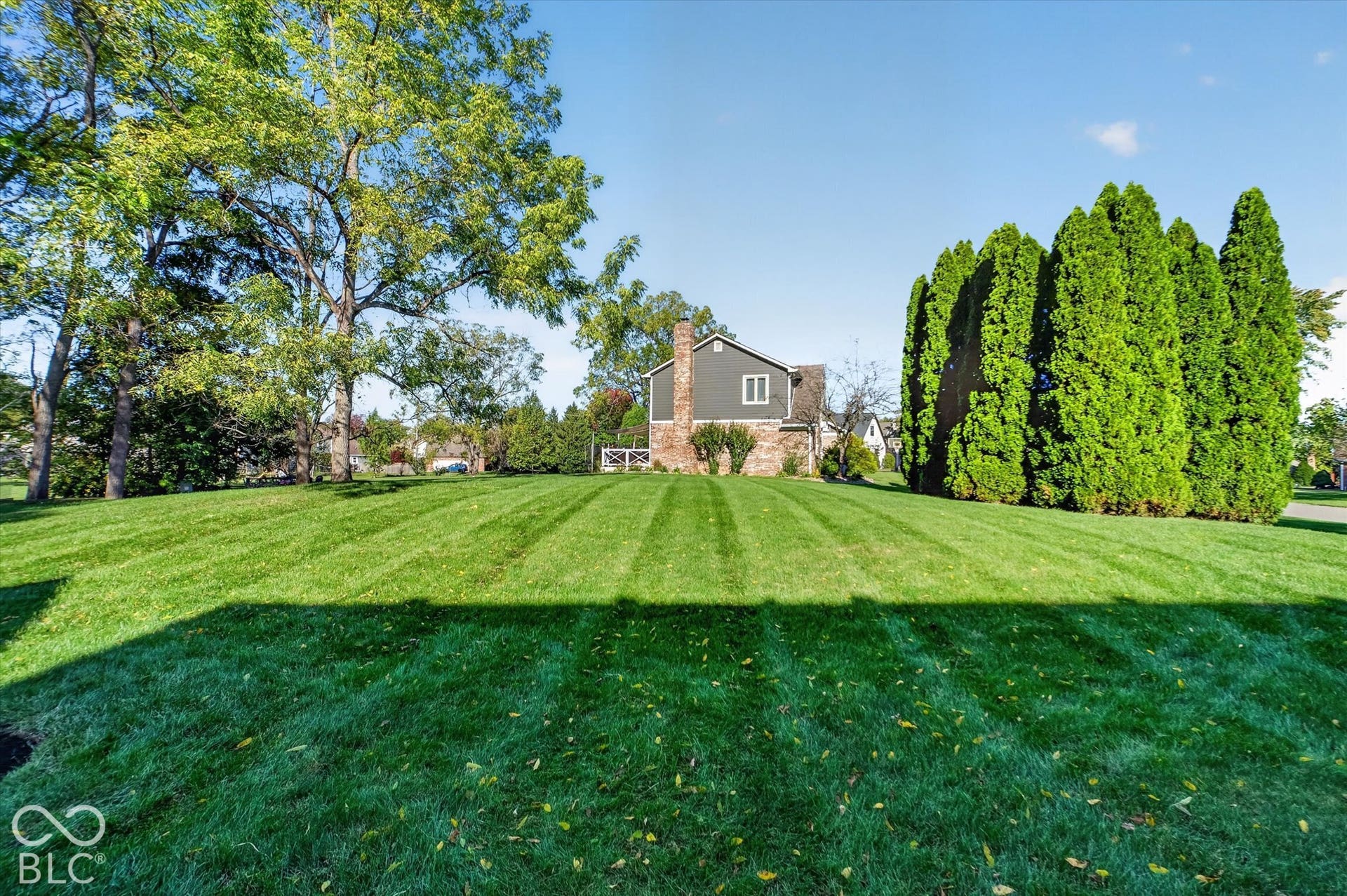 Expansive lawn with striped mowing pattern, mature deciduous trees, and evergreen privacy plantings