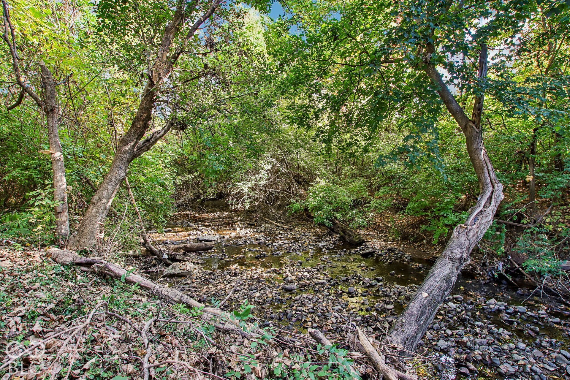 537 S 4th Avenue, Beech Grove, IN 46107