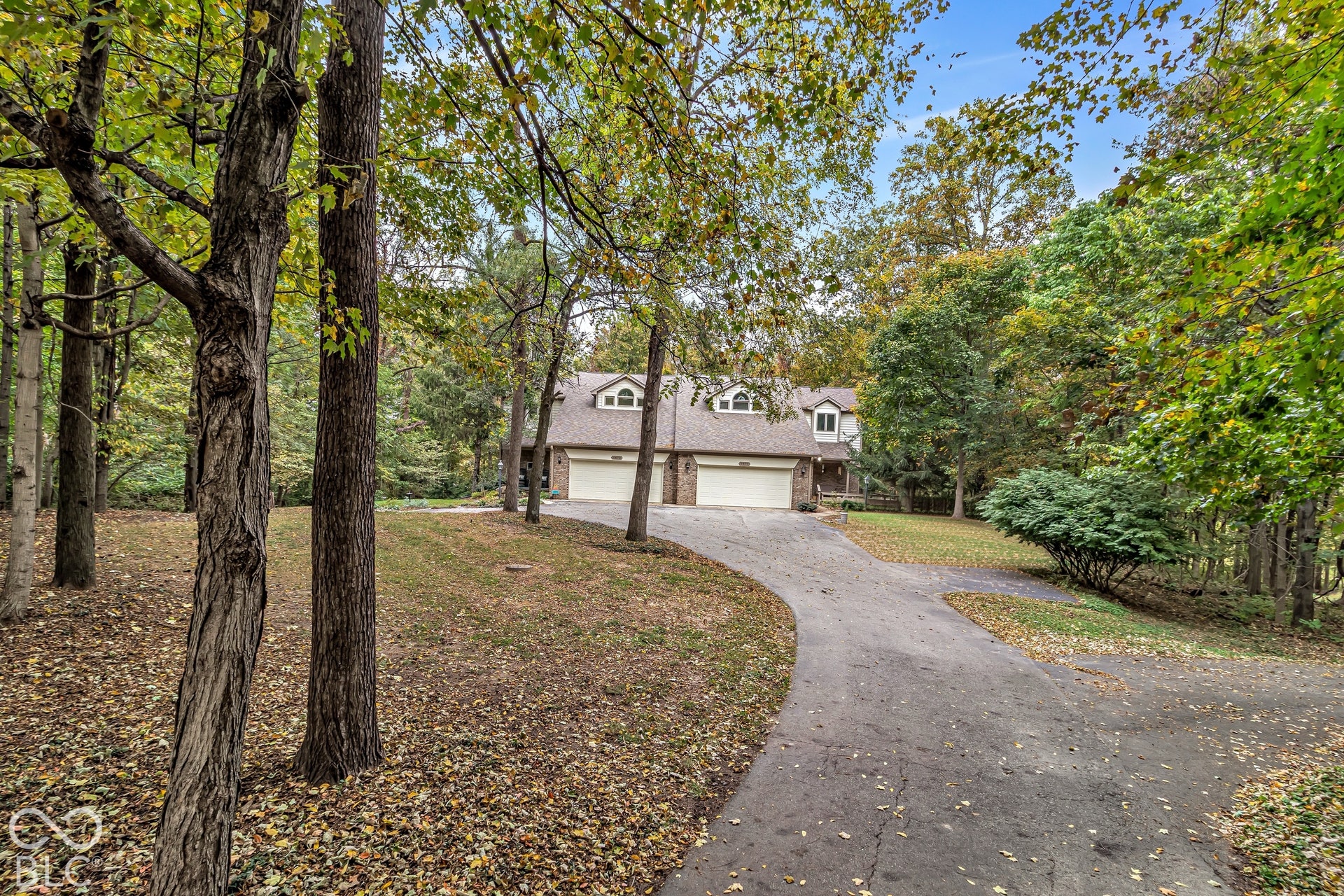 Tree lined driveway
