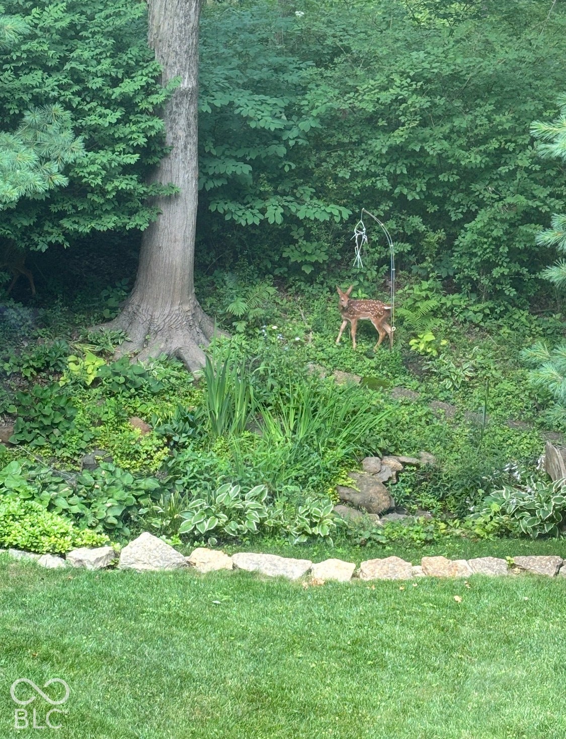 9056 Woodacre Blvd South Drive S, Indianapolis, IN 46234