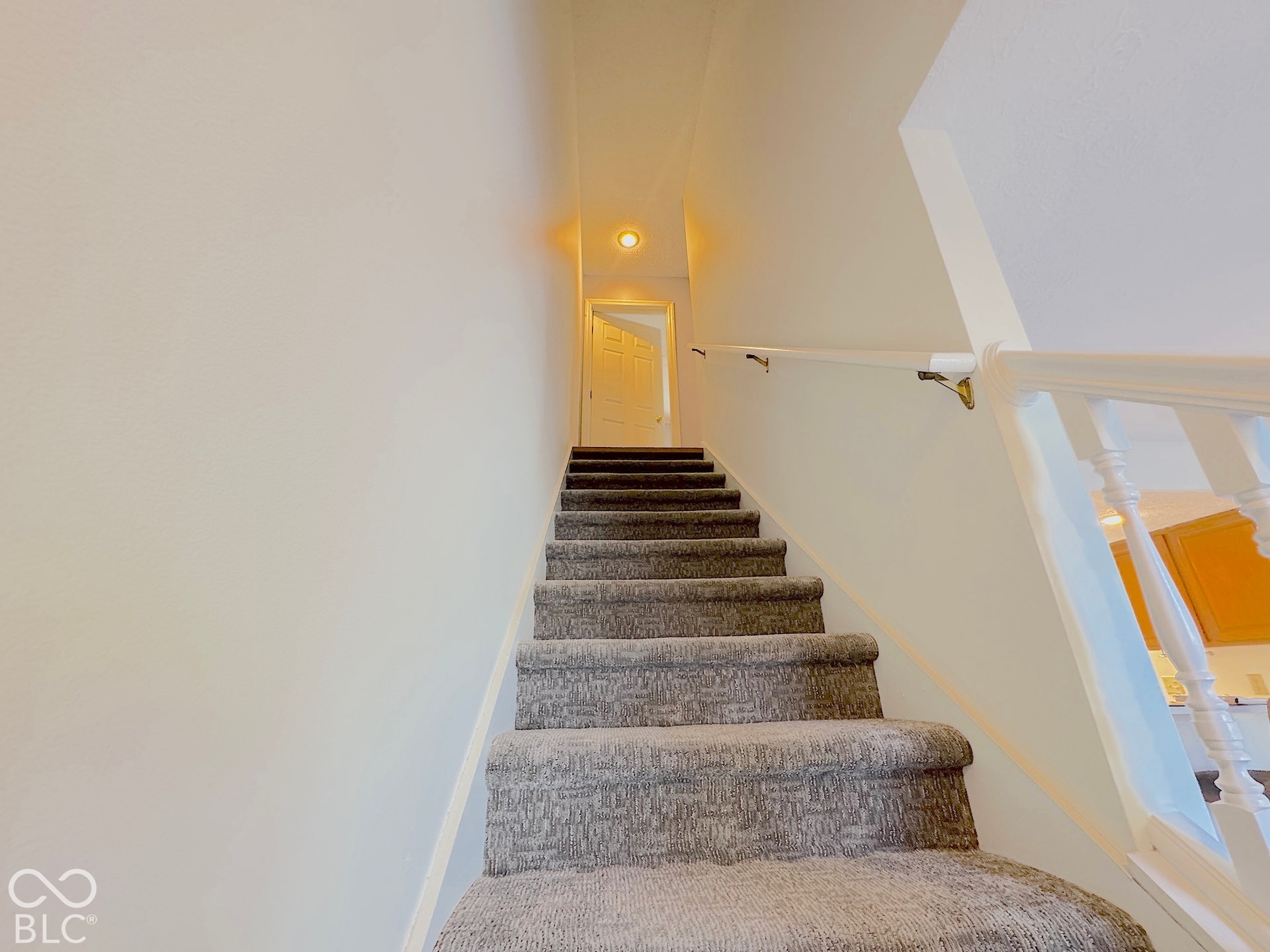 Carpeted staircase with white balusters, a white handrail, and a wall-mounted brass handrail
