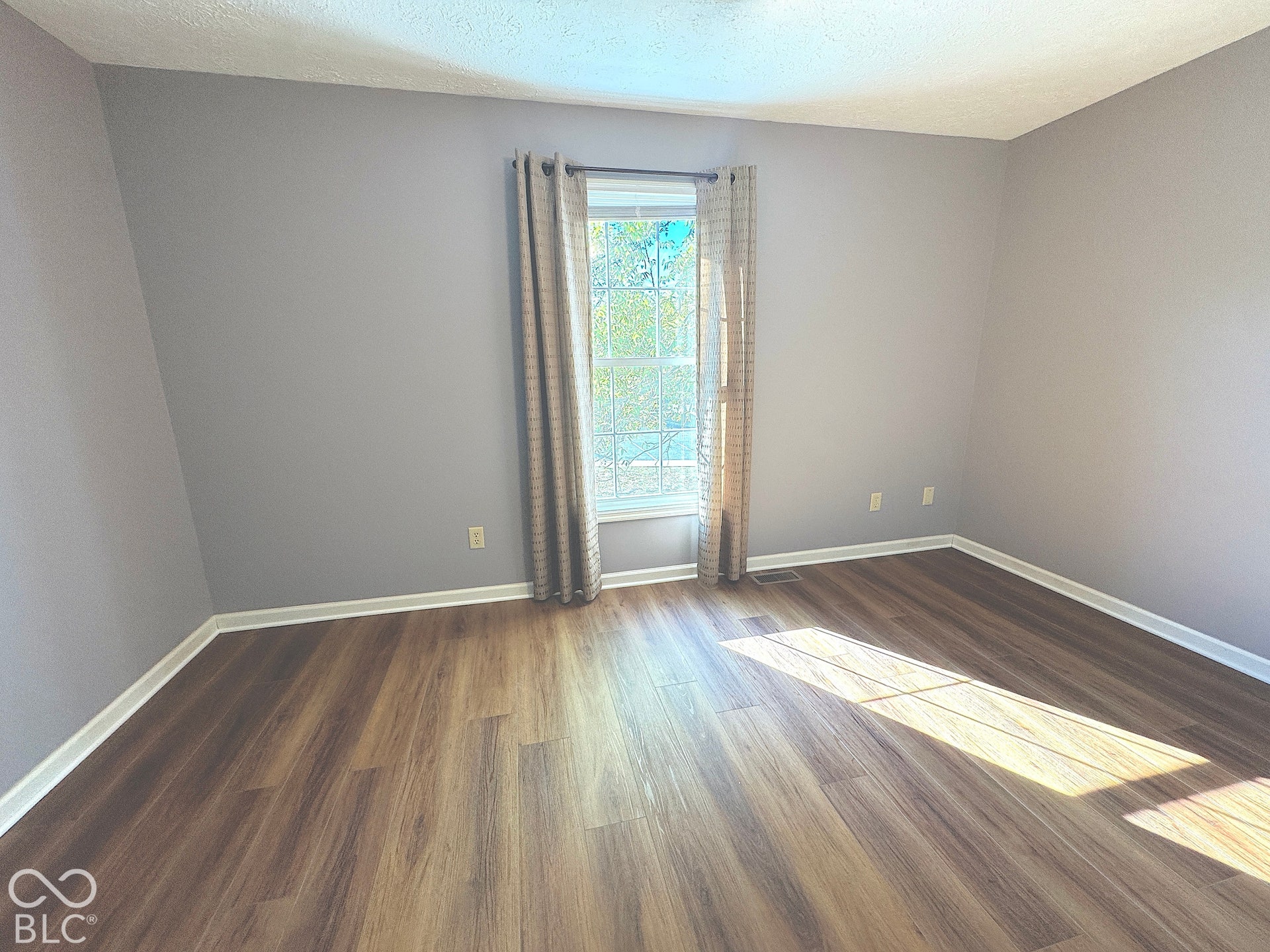 Wood-finish flooring, light grey wall paint, and white trim molding create a neutral interior