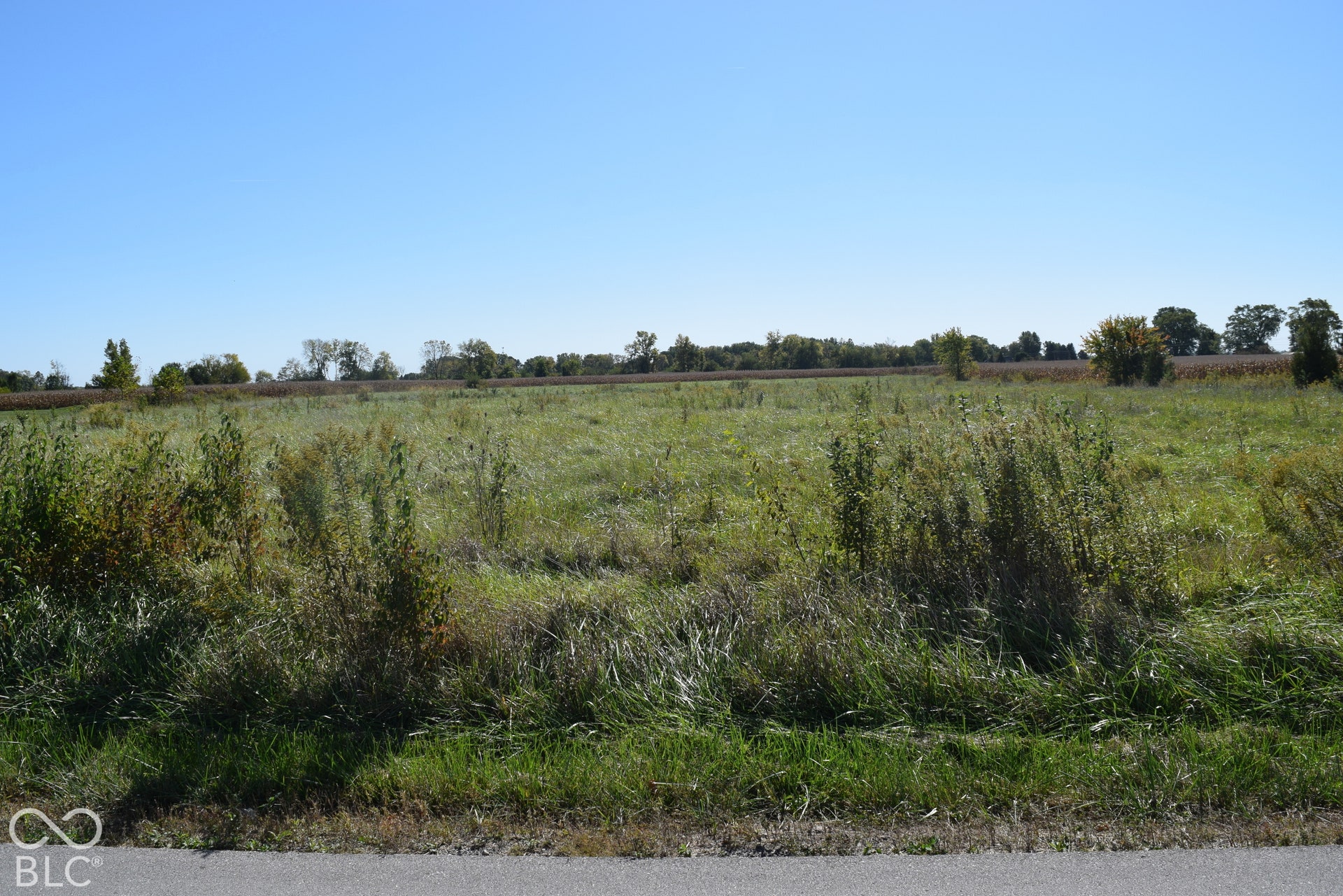 Front of Property - North End of Property Looking South - Showing Road