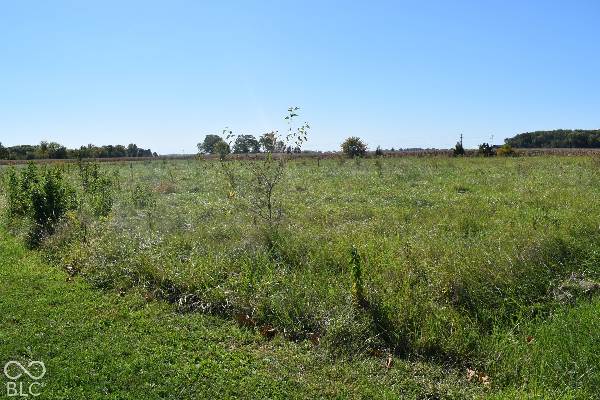 Left Ange from Front at North East Corner of Property