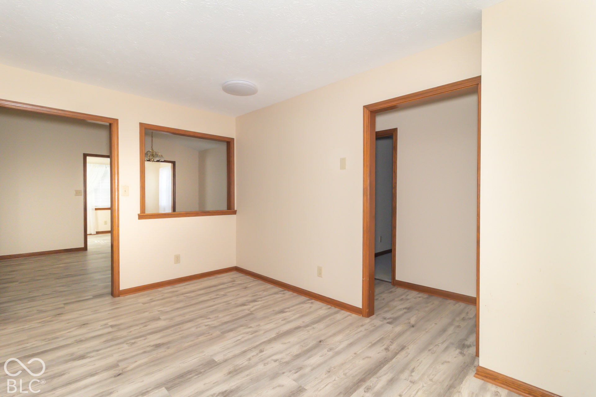 1176 E Apple Lake Drive, Greenfield, IN 46140