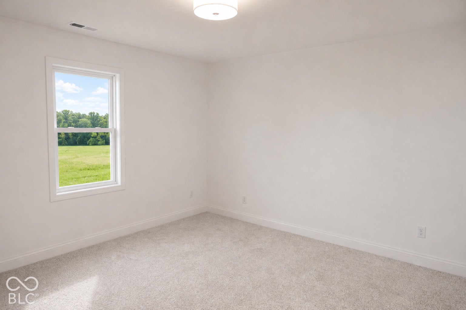 Expansive room with white painted walls, light-colored carpet flooring, and a double-hung window