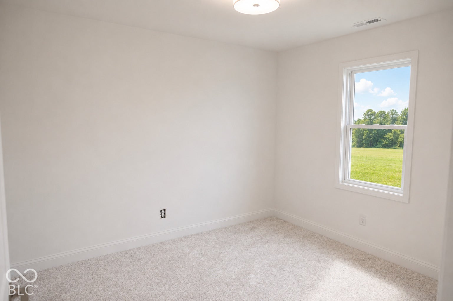 Neutral wall finish, fitted carpet flooring, single window, and flush mount lighting
