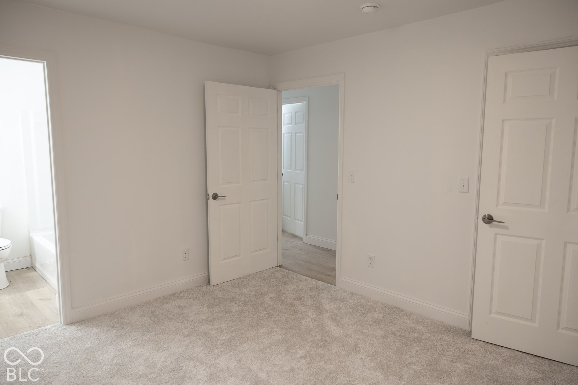 Neutral carpet flooring, white painted walls, and white paneled doors