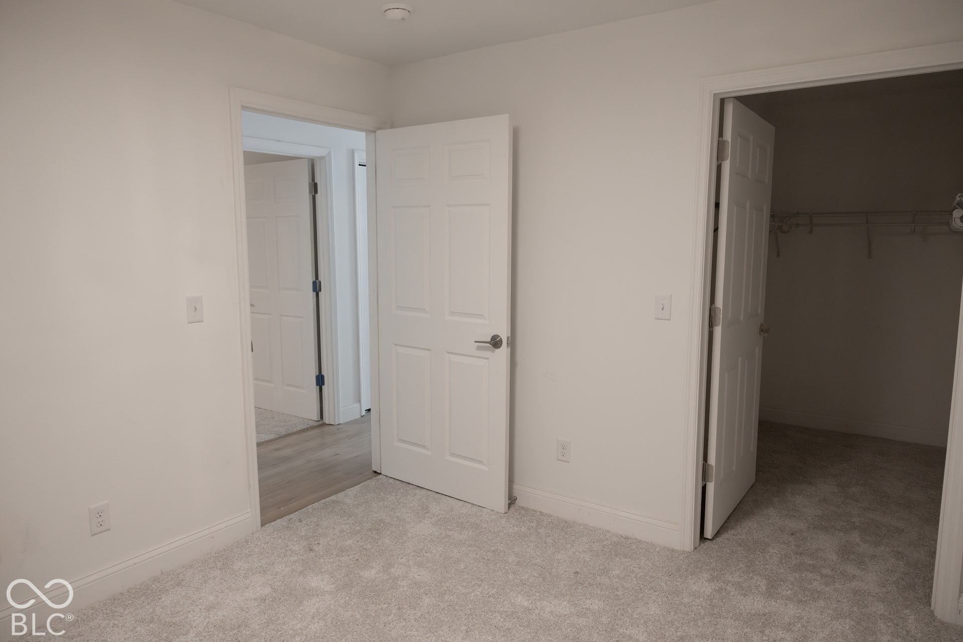 Light gray carpeting, white painted walls, white interior doors, and a built-in closet system