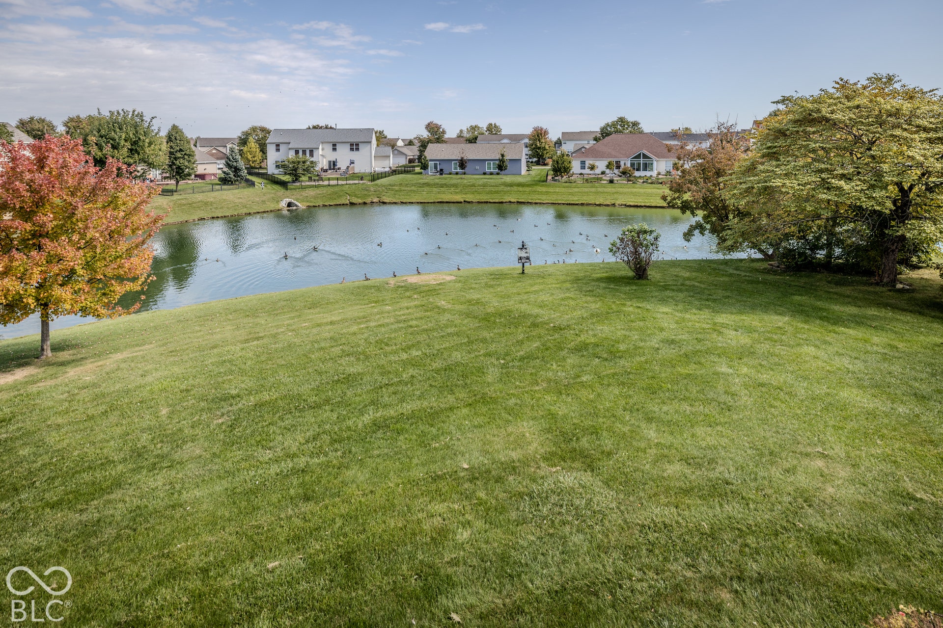 12046 Cowboys, Fishers, IN 46037 Manicured lawn with mature trees and a tranquil pond