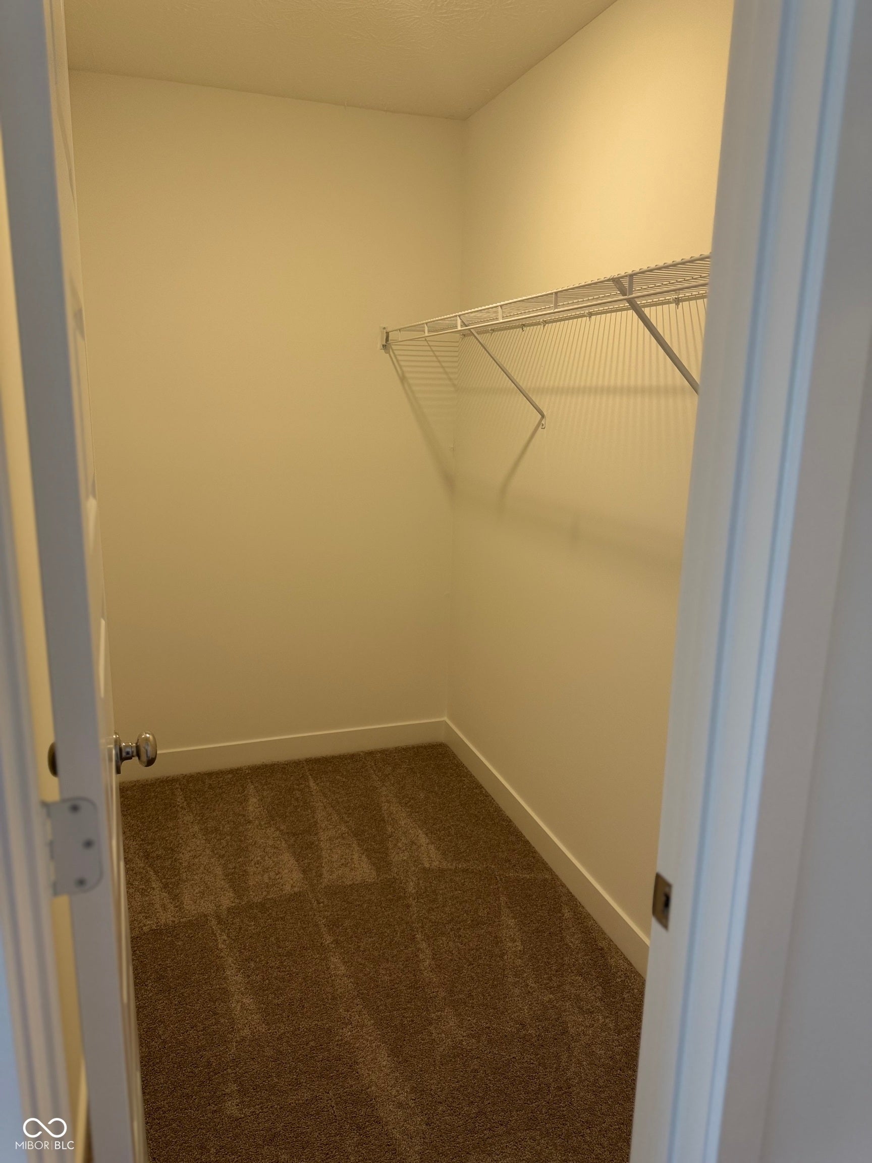 Carpeted closet with white wire shelving, baseboards, and neutral wall tones