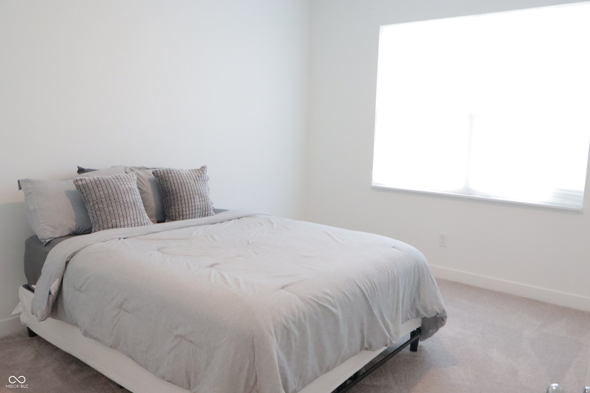 Spacious room with plush carpet flooring, a large window, and pristine white walls