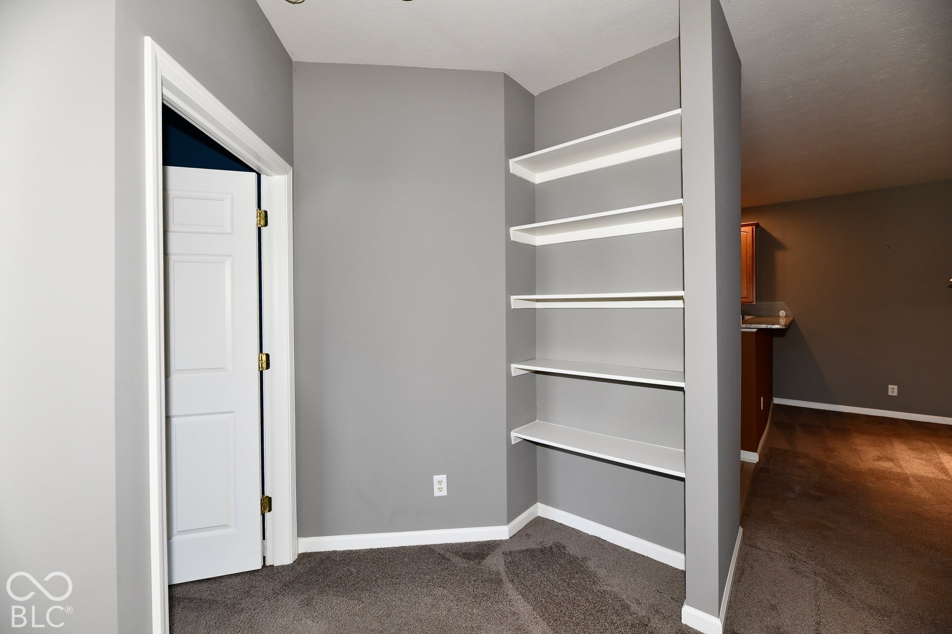 6673 Avila Way, Fishers, IN 46038 Built-in shelving unit with white shelves