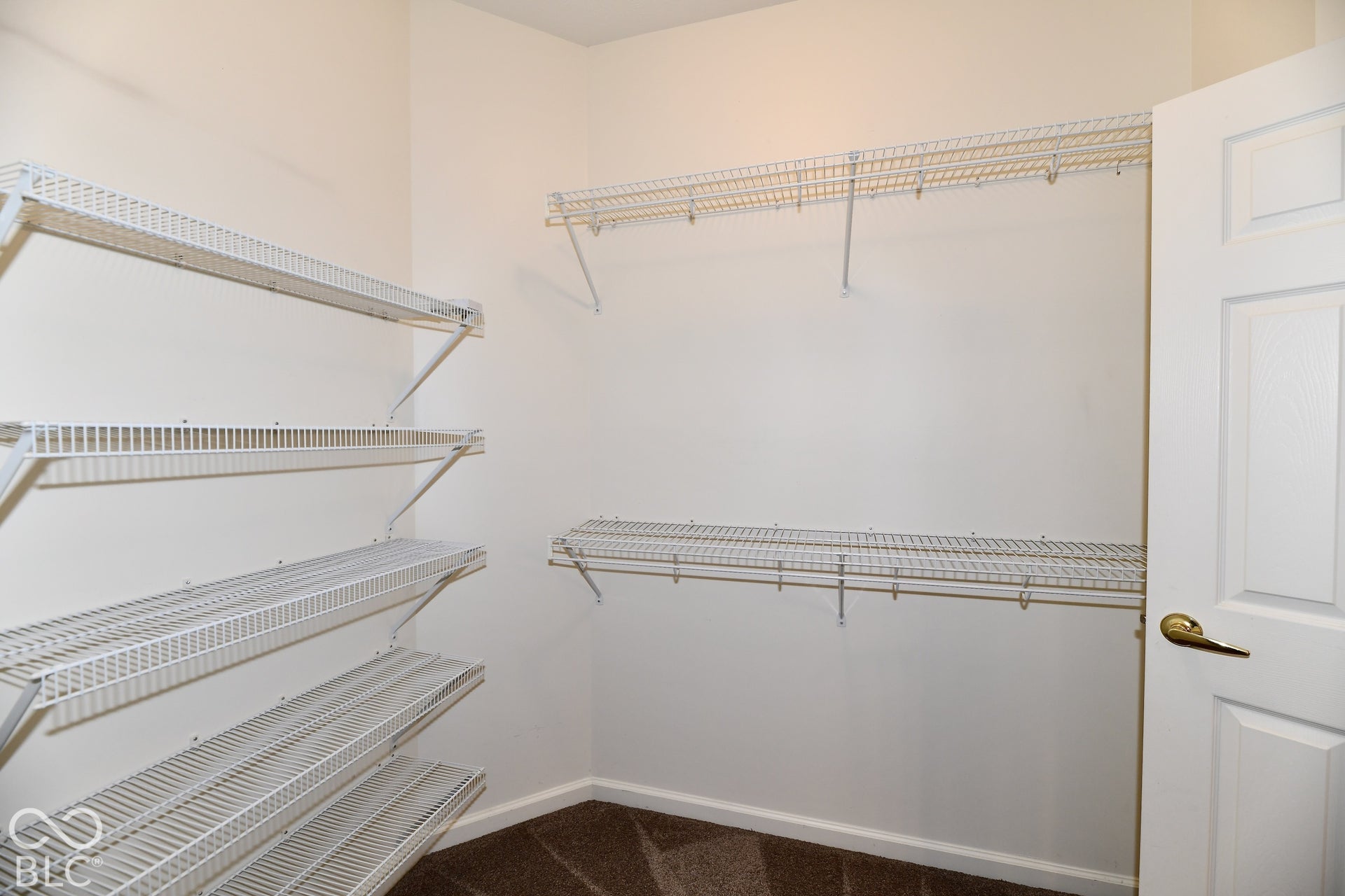6673 Avila Way, Fishers, IN 46038 Walk-in closet featuring wire shelving, hanging rods, and carpet flooring