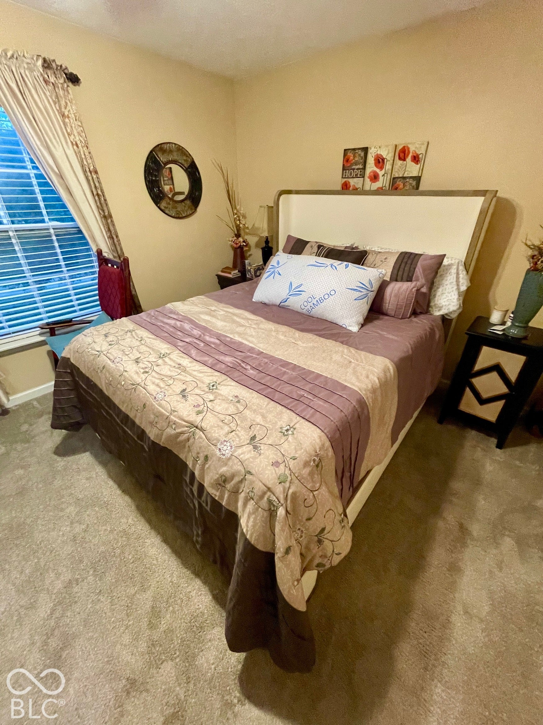 Carpeted flooring, window with blinds, and neutral wall tones
