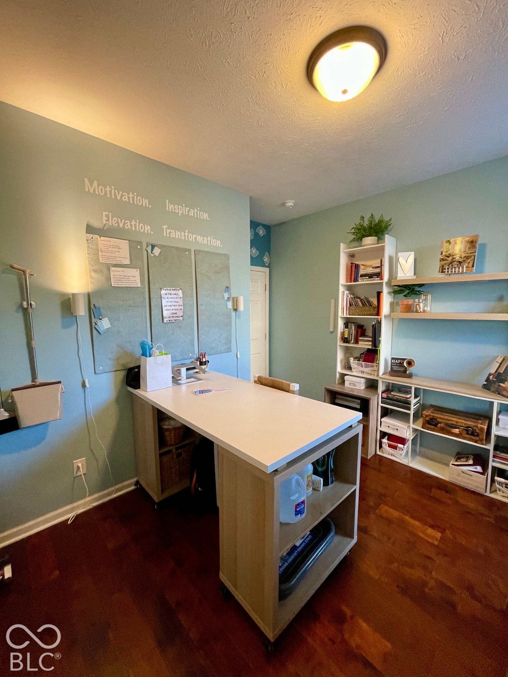 Wood-finish flooring, built-in shelving units, and a ceiling-mounted light fixture